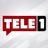 Logo 31